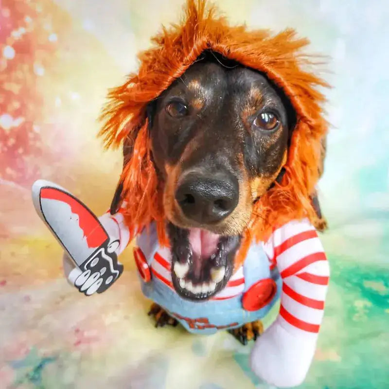 Chucky Dog Costume - Halloween Plaza