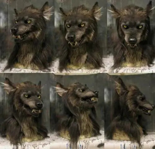 Scary lifelike Halloween wolf mask with realistic fur, piercing eyes, and snarling mouth in various angles and views.