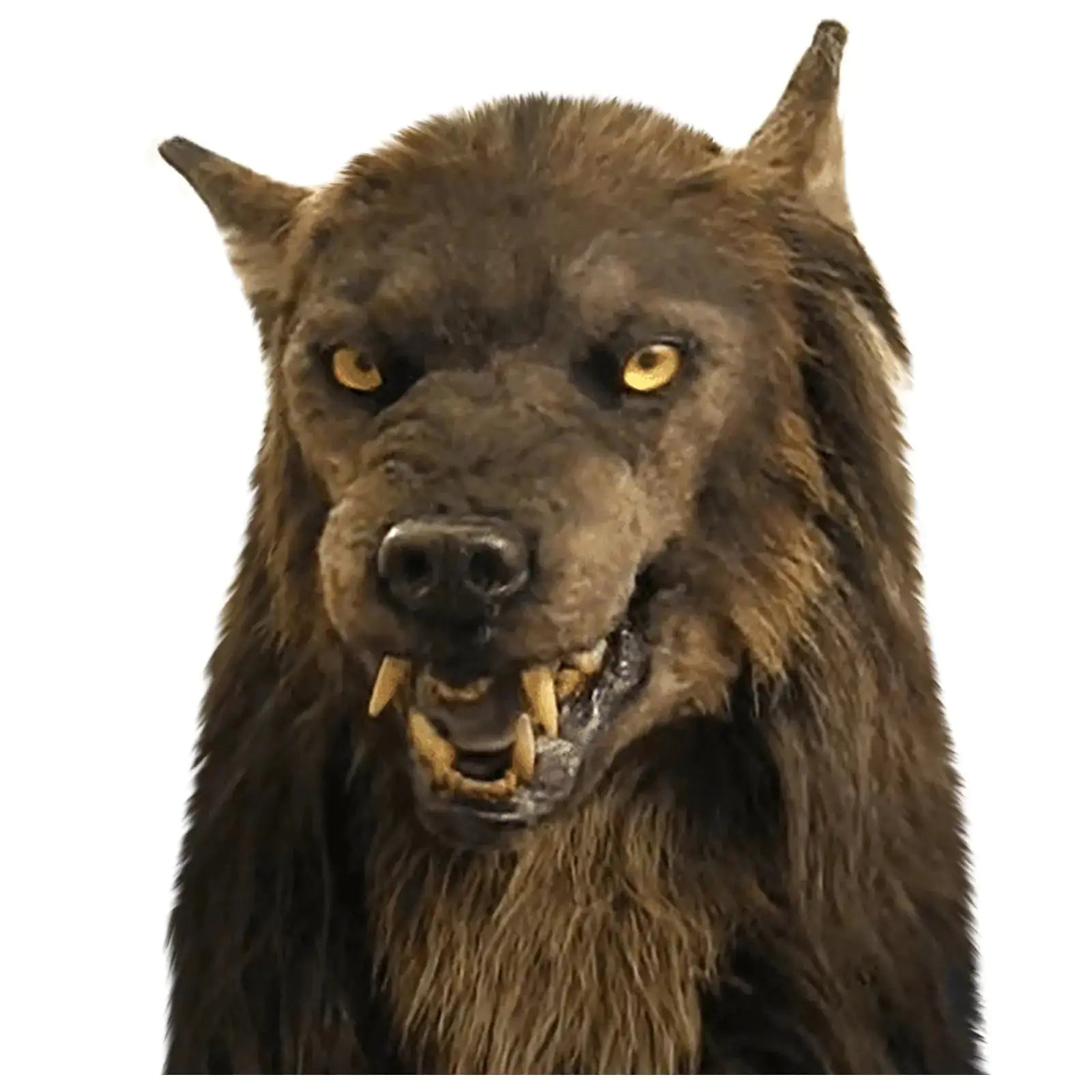 Scary Halloween wolf mask with realistic fur, piercing eyes, and snarling mouth for spine-chilling Halloween terror.