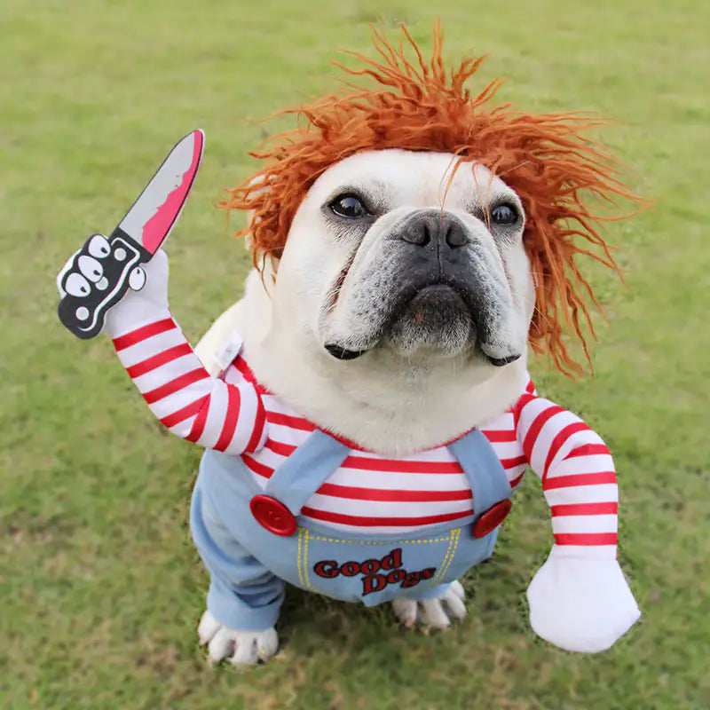 Chucky Pet Costume - Halloween Plaza