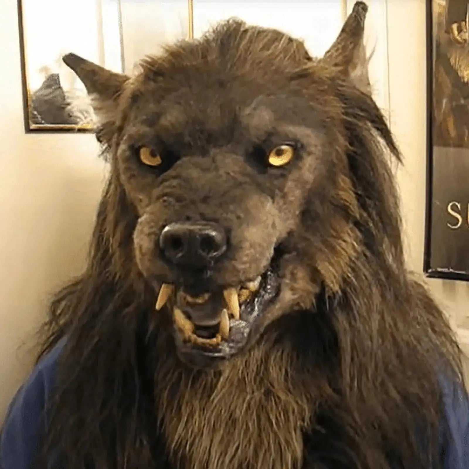 Lifelike scary Halloween wolf mask with realistic fur and piercing yellow eyes